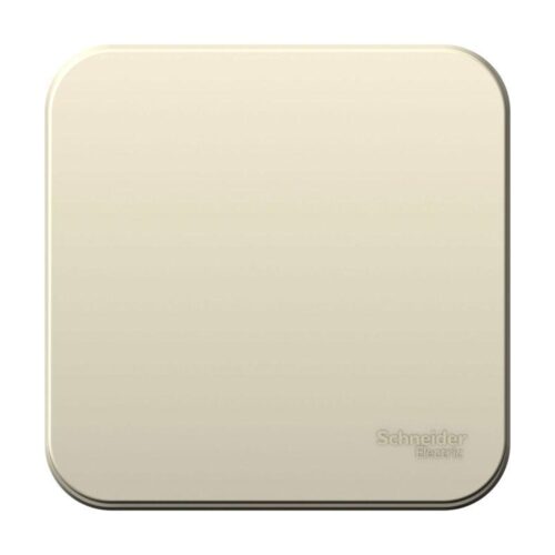 Выключатель 1-кл. ОП Blanca 10А IP20 (сх. 1) 250В с изолир. пластиной молочн.