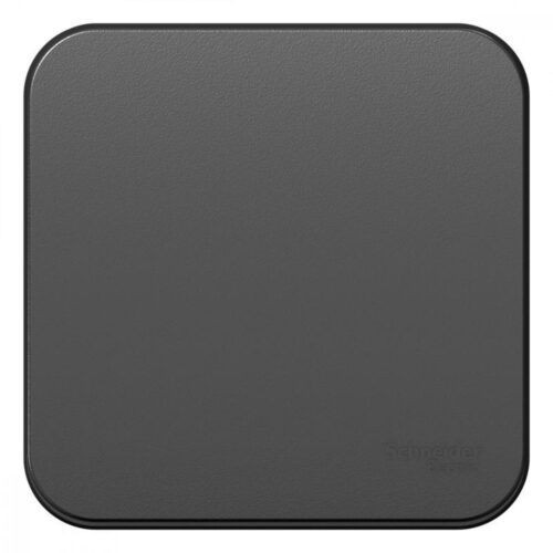 Выключатель 1-кл. ОП Blanca 10А IP20 (сх. 1) 250В с изолир. пластиной антрацит