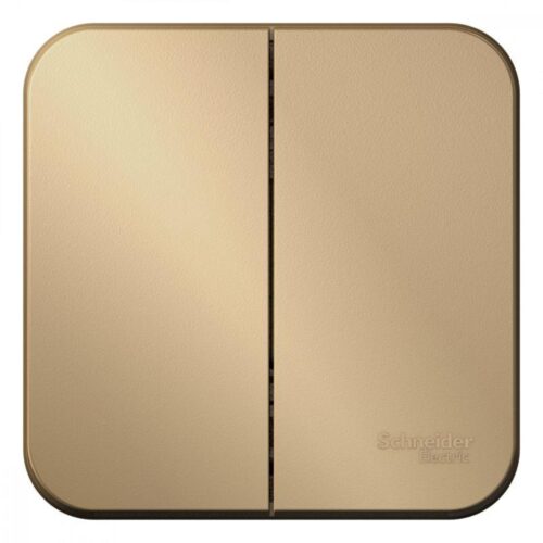 Выключатель 2-кл. ОП Blanca 10А IP20 (сх. 5) 250В с изолир. пластиной титан