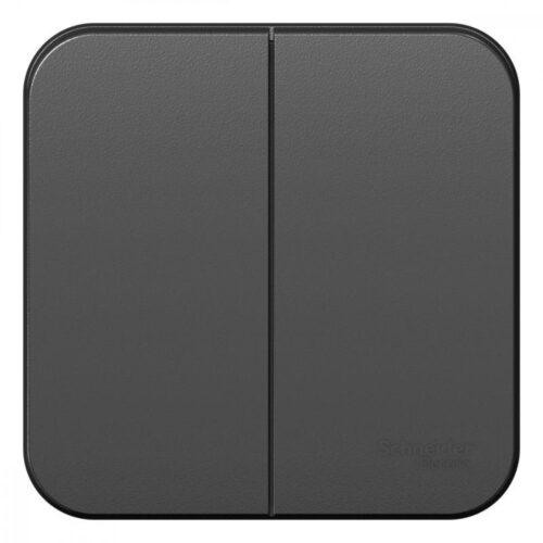 Выключатель 2-кл. ОП Blanca 10А IP20 (сх. 5) 250В с изолир. пластиной антрацит