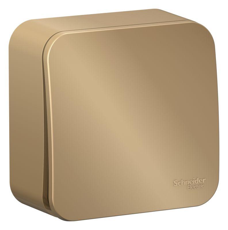 Переключатель проходной 1-кл. ОП Blanca 10А IP20 (сх. 6) 250В с изолир. пластиной титан — изображение 2