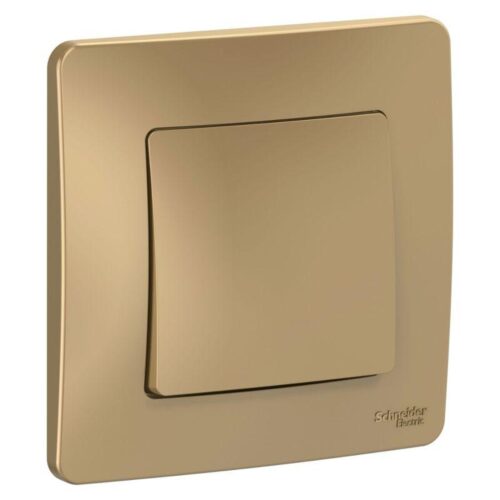 Выключатель 1-кл. СП Blanca 10А IP20 (сх. 1) 250В титан