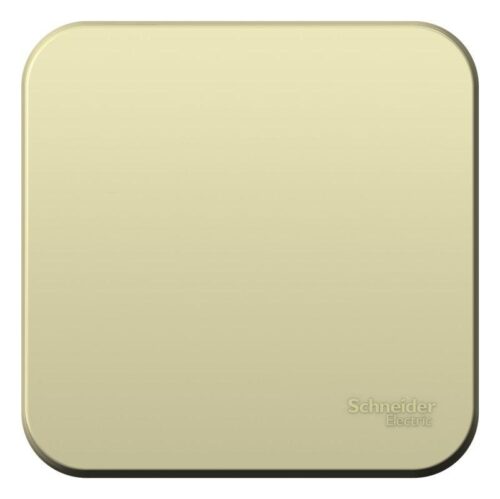 Выключатель 1-кл. ОП Blanca 10А IP20 250В с изолир. пластиной беж. SE